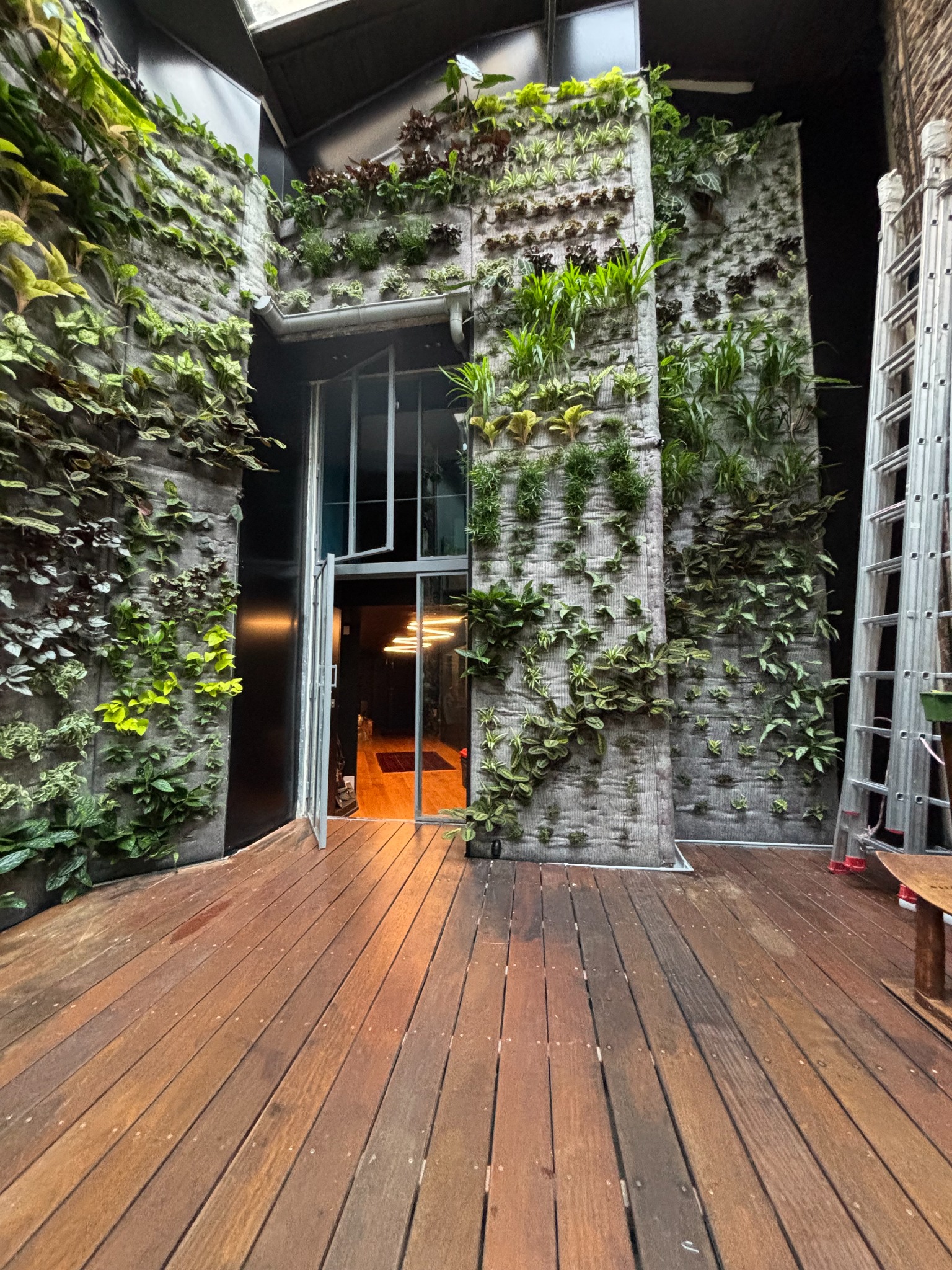 Location végétale (plantes & pots)